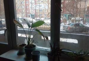 1-к квартира, вторичка, 38м2, 1/10 этаж