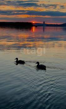 3-к квартира, вторичка, 76м2, 1/10 этаж